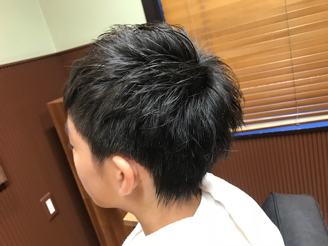 Atacched File